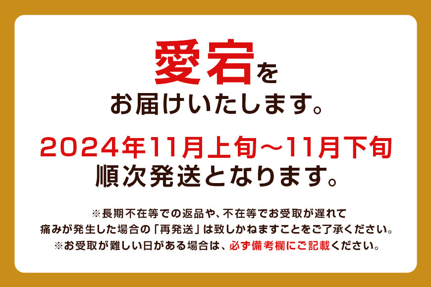 訳あり 柴沼梨園の梨（ 愛宕 ） 梨 5kg 大玉 5～10個入り 訳アリ 不揃い ナシ なし 国産 茨城 愛宕梨 秋 旬 フルーツ 果物 先行予約【11月上旬～11月下旬発送】秋の味覚 旬の果物 くだもの 大きい サイズ 品種 産地 茨城県産 家庭用 産地直送 茨城県 笠間市 BX-009