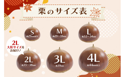 笠間の生栗 （約2kg） 低温熟成 利平 2L以上 日本一 栗生産量 茨城県