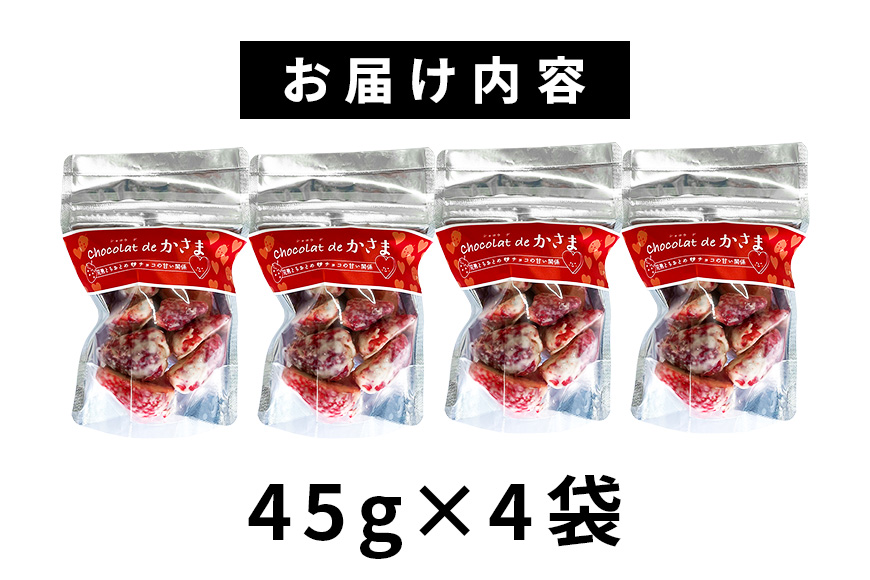 Chocolat de かさま おかしな果実ショコラ 完熟とちおとめの詰め合わせ
