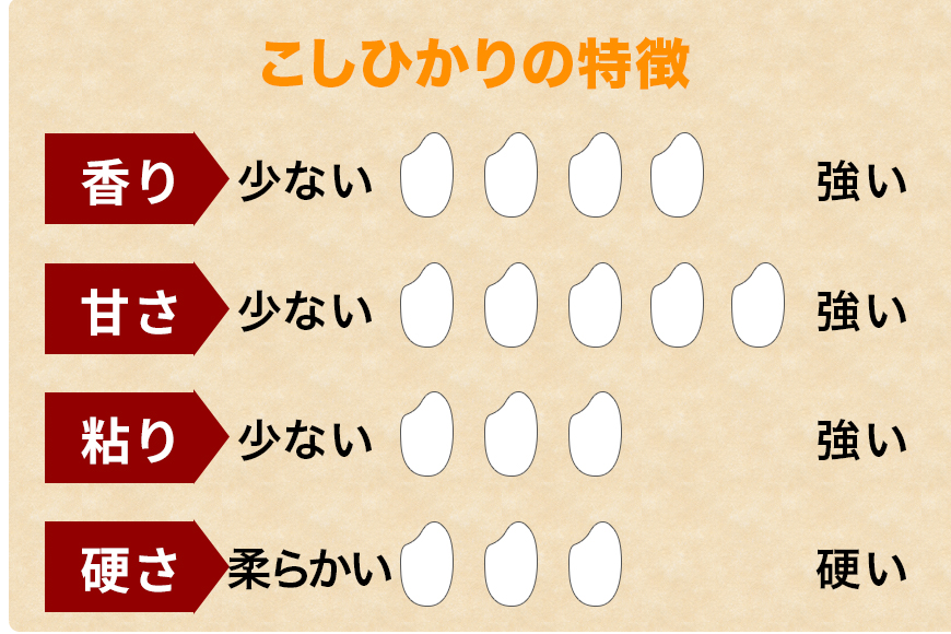 【6カ月定期便】 令和7年度 笠間産 コシヒカリ 10kg (10kg×6回 計60kg) 精米 定期便 米 白米 こめ コメ ご飯 ごはん 農家直送 産地直送 国産 茨城県 笠間市 青木商店 【3月末まで受付】