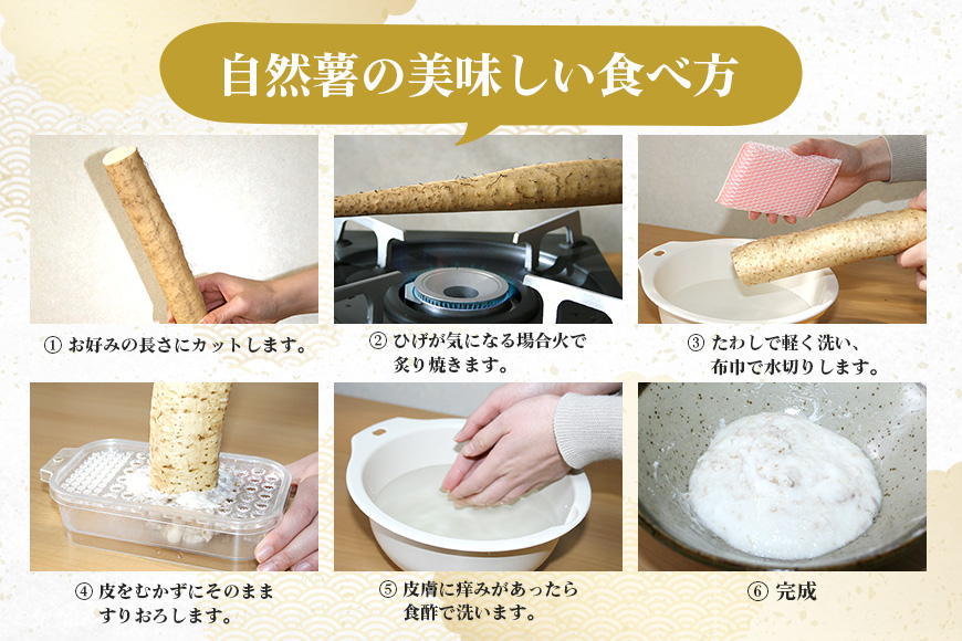 笠間自然薯研究会の自然薯 約1kg 長芋 とろろ とろろご飯 野菜 ねばねば 健康食品 美容効果 笠間市産 茨木県産 栄養たっぷり ギフトに最適 新鮮 国内生産 高級根菜 美容と健康に 美味しい 有機栽培 オーガニック 産地直送 滋養強壮