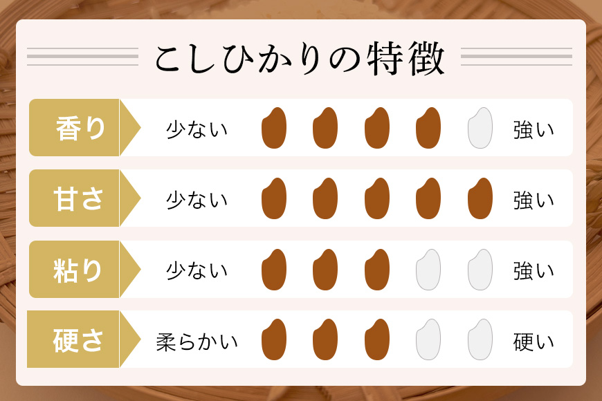 令和7年産 新米 コシヒカリ 米 10kg ( 5kg ×2 ） 白米 こめ こしひかり 国産 国産米 取り寄せ ごはん ご飯 コメ お取り寄せ お弁当 弁当 おにぎり 産地直送 特産  ギフト プレゼント 贈り物 茨城県 笠間市 いばらき