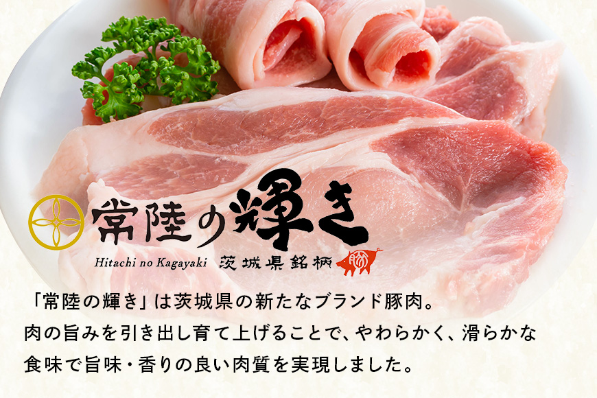 彩美亭 かさま餃子 常陸の輝き12個入り 2セット