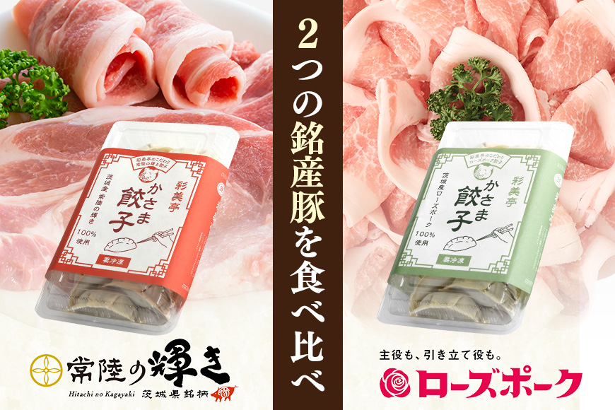 彩美亭 かさま餃子 常陸の輝き・ローズポークセット 100個