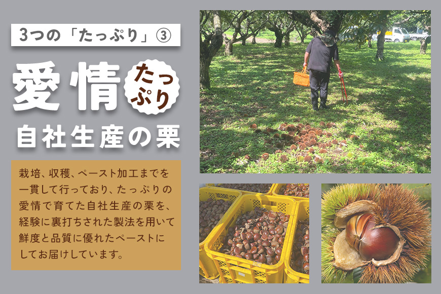 モンブラン 4個 栗のモンブラン 栗 くり クリ 和栗 マロン 冷凍 スイーツ 栗ペースト お菓子 洋菓子 デザート ケーキ お取り寄せ ギフト プレゼント 和栗モンブラン 和栗のモンブラン カサマロンカフェ 笠間 茨城 いばらき