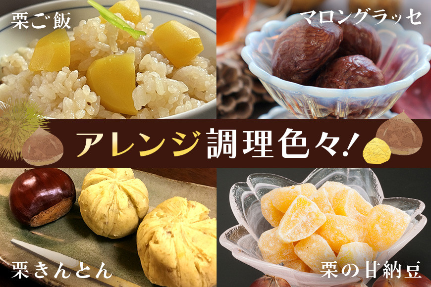 アカツファームの生栗 超特大 4Lサイズ 1kg 栗 笠間 栗 くり 生栗 特大 大きい 大粒 茨城 国産 国産栗 和栗 甘栗 栗ご飯 栗きんとん 栗おこわ 甘露煮 マロン 秋 旬 おやつ スイーツ きんとん 冷蔵 保存料不使用 無添加 ギフト 茨城県 笠間市