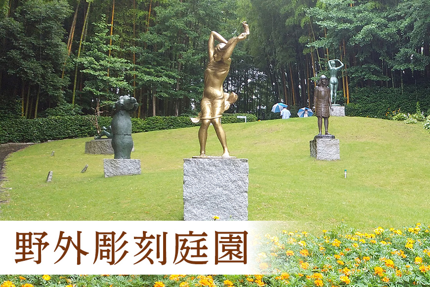 美術館入館チケットと特別ガイドツアー 1名様分 予約 入館 チケット 特別 ガイド ツアー 旅行 美術館 展示 彫刻 庭園 カフェ 食事 笠間日動美術館 芸術 美術 茨城県 笠間市