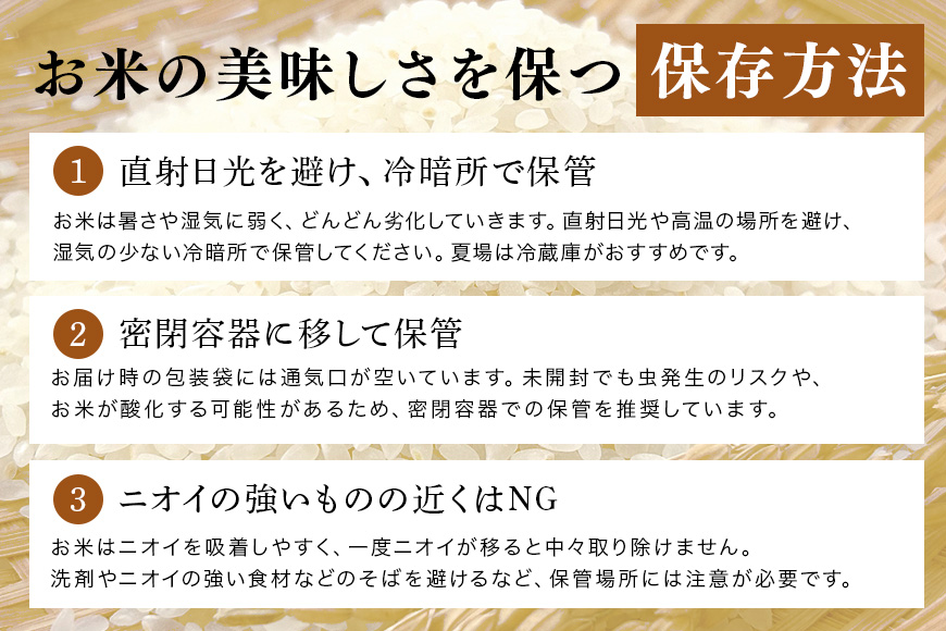 令和7年産 新米 コシヒカリ 米 10kg ( 5kg ×2 ） 白米 こめ こしひかり 国産 国産米 取り寄せ ごはん ご飯 コメ お取り寄せ お弁当 弁当 おにぎり 産地直送 特産  ギフト プレゼント 贈り物 茨城県 笠間市 いばらき