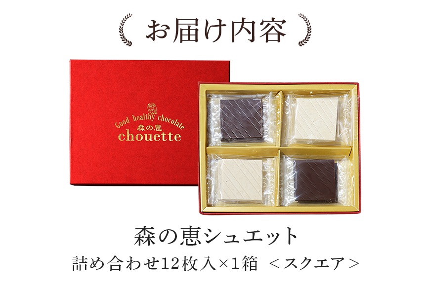 グッドヘルシーチョコ「森の恵」詰合せ12枚入り　≪スクエア≫