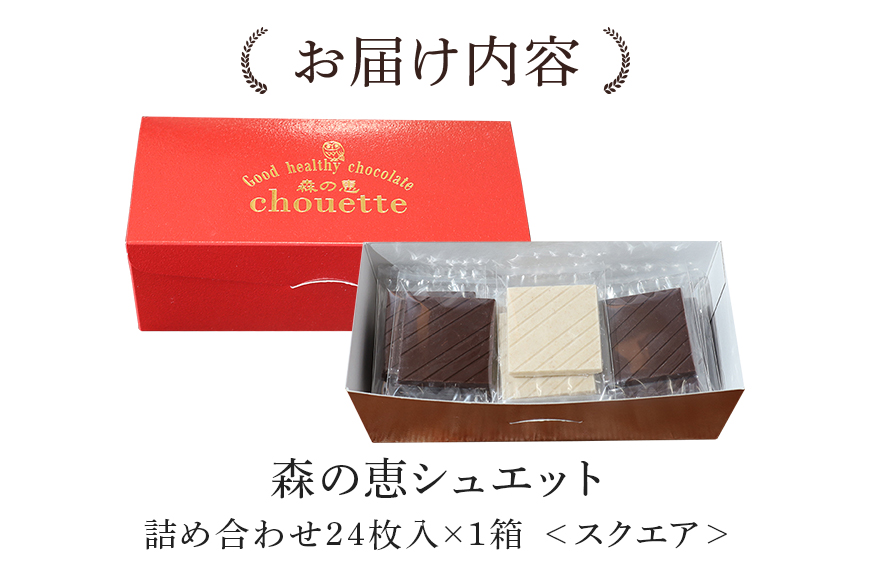 グッドヘルシーチョコ「森の恵」詰合せ24枚入り　≪スクエア≫