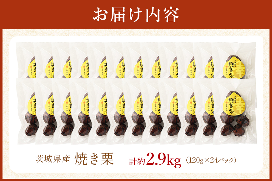茨城県産 焼栗 12個セット×2 焼き栗 栗 国産 個包装 くり 和栗 甘栗 ギフト プレゼント 秋 旬 おやつ スイーツ 果物 フルーツ 電子レンジ レンジ調理 栗ご飯 栗ごはん 栗ジャム 栗きんとん モンブラン やきぐり 幸田商店 先行予約 笠間 茨城 いばらき