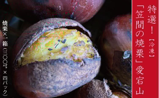 特選！ 笠間の焼栗 愛宕山 冷凍 1.2kg 栗 くり クリ 焼き栗 電子レンジ レンジ調理 焼栗 きんとん 果物 デザート 栗ご飯 栗ごはん フルーツ 秋の味覚 スイーツ 熟成栗 プレゼント 贈答用 秋の味覚 甘栗 おやつ 茨城 国産 笠間市 【数量限定 2026/9/20まで受付】