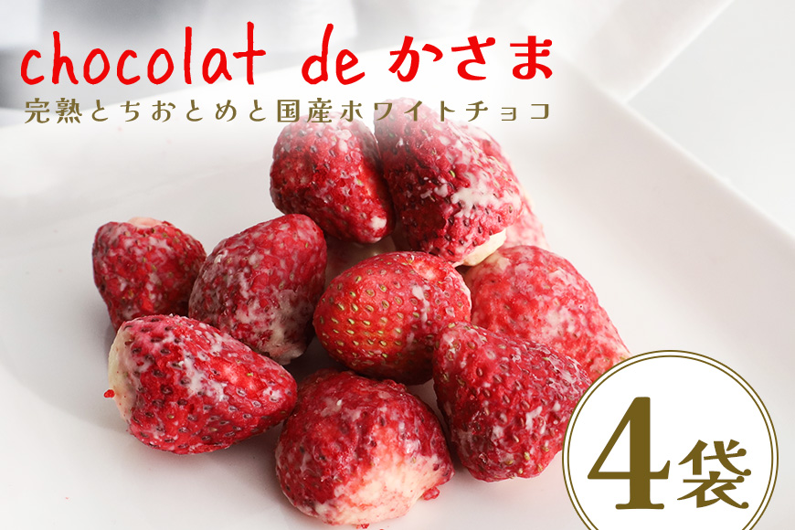 Chocolat de かさま おかしな果実ショコラ 完熟とちおとめの詰め合わせ