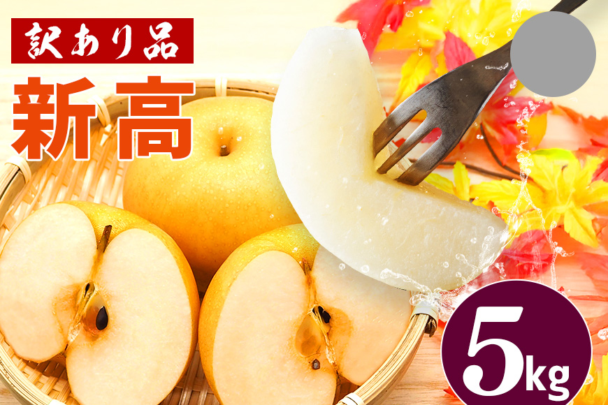 訳あり 柴沼梨園の梨（ 新高 ） 梨 5kg 大玉 6～14個入り 訳アリ 不揃い ナシ なし 国産 茨城 新高梨 秋 旬 フルーツ 果物 先行予約 【9月下旬～10月上旬発送】 秋の味覚 旬の果物 くだもの 大きい サイズ 品種 産地 茨城県産 家庭用 産地直送 茨城県 笠間市 BX-008