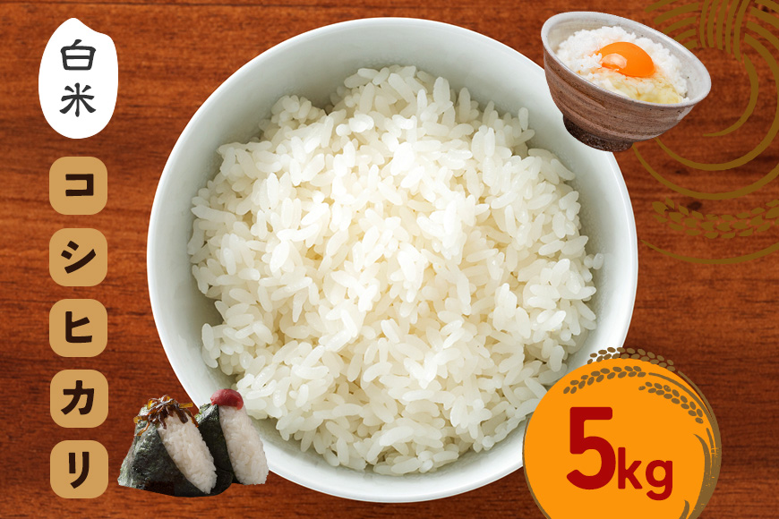 令和7年度 笠間産 コシヒカリ 5kg 精米 米 白米 こめ コメ ご飯 ごはん 農家直送 産地直送 国産 茨城県 笠間市 青木商店 【8月末まで受付】