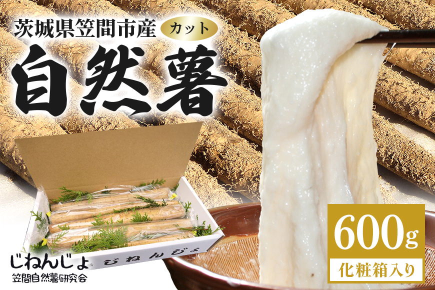 笠間自然薯研究会の自然薯カット 約600g 長芋 とろろ とろろご飯 野菜 ねばねば 健康食品 美容効果 笠間市産 茨木県産 栄養たっぷり ギフトに最適 新鮮 国内生産 高級根菜 美容と健康に 美味しい 有機栽培 オーガニック 産地直送 滋養強壮