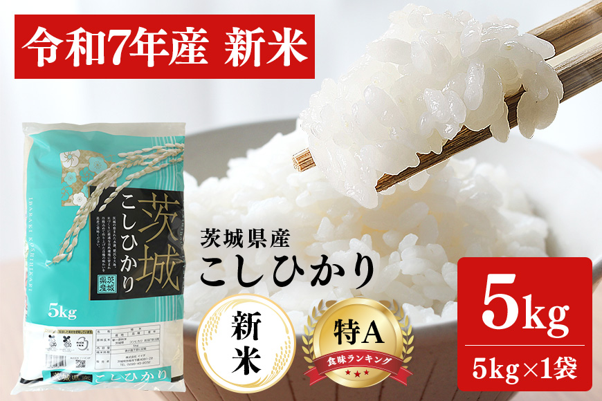 令和7年産 新米 コシヒカリ 米 5kg 白米 こめ こしひかり 国産 国産米 取り寄せ ごはん ご飯 コメ お取り寄せ お弁当 弁当 おにぎり 産地直送 特産  ギフト プレゼント 贈り物 茨城県 笠間市 いばらき