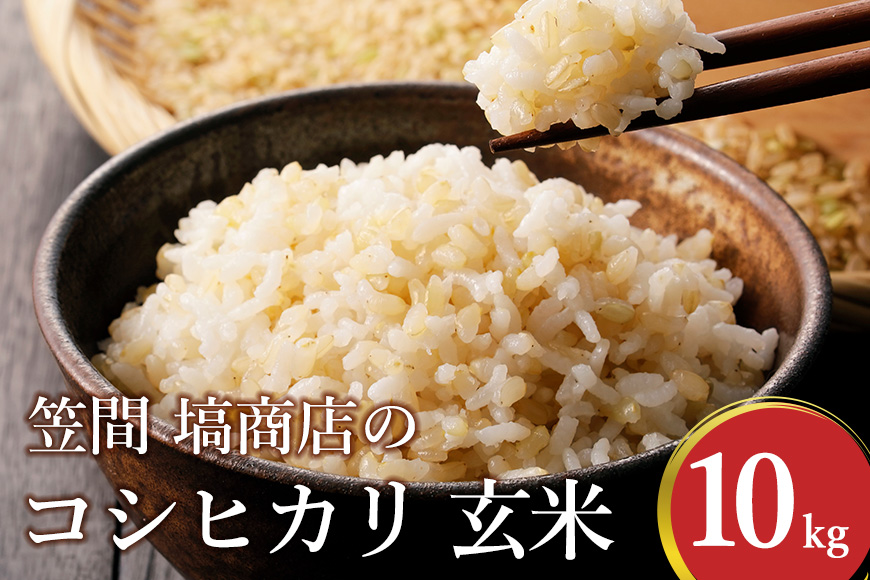 コシヒカリ 玄米 10kg 米 令和7年度産 笠間 塙商店 ブランド米 お米 げんまい 国産 おにぎり 弁当 R7年産 ごはん おいしい 旨い ふっくら お米 茨城県 笠間市 いばらき