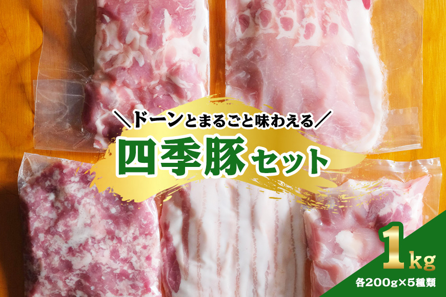 四季豚　ドーンとまるごと味わえる１kgセット