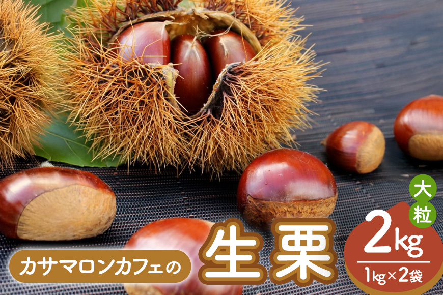 【2025年 秋 出荷】生栗 1kg×2袋 2kg 特大 サイズ 3L 以上 大粒 大きい 数量限定くり クリ 笠間の栗 栗ごはん カサマロン 国産 先行予約 モンブラン 栗きんとん 冷蔵 笠間市 KA-001