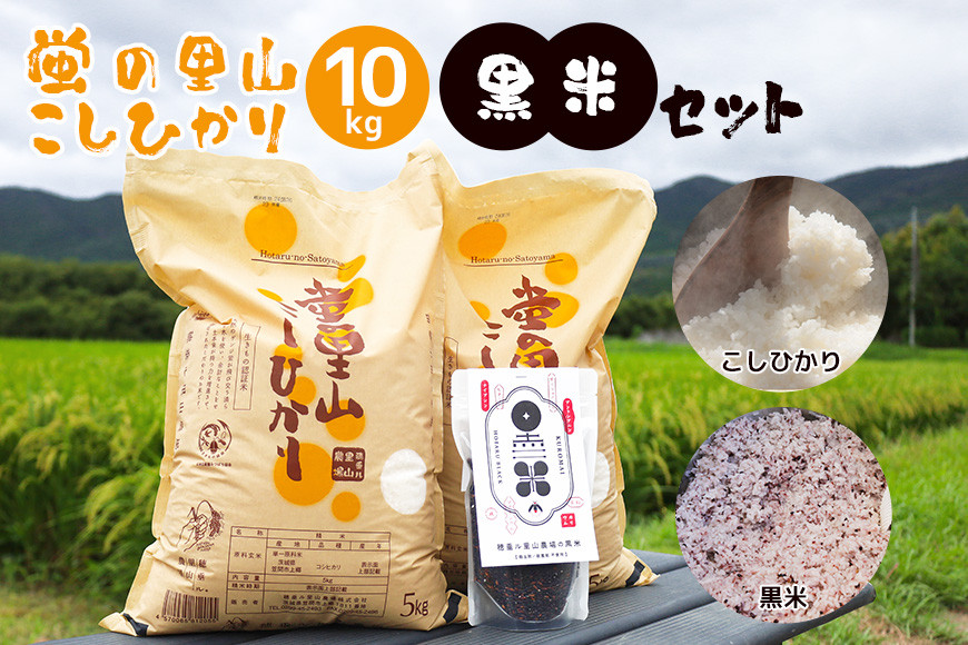 令和7年度 極上ランク 蛍の里のこしひかり 白米10kg(5kg×2袋) 黒米300g セット コシヒカリ 米 こしひかり 精米 ブランド米 お米 白米 10kg 黒米 300g 国産 贈答 ギフト おにぎり 弁当 R7年産 ごはん おいしい 旨い ふっくら お米 茨城県 笠間市 いばらき