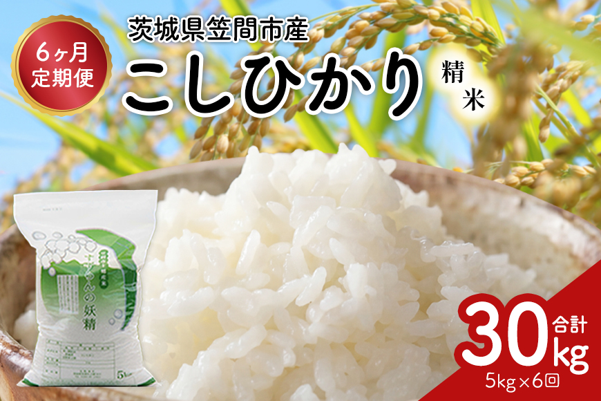 【6ヶ月定期便】令和7年度 殺虫剤・殺菌剤不使用｜こしひかり（5kg） 合計30kg 定期便 コシヒカリ 米 こしひかり 精米 ブランド米 お米 白米 5kg 国産 贈答 ギフト おにぎり 弁当 R7年産 ごはん おいしい 旨い ふっくら お米 茨城県 笠間市 いばらき