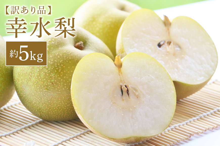 訳あり 柴沼梨園の梨 （ 幸水 ） 梨 5kg 訳あり品 10～18個入り 訳アリ 不揃い ナシ なし 国産 茨城 秋 旬 フルーツ 果物 先行予約 【8月中旬～8月下旬発送】 旬の果物 くだもの サイズ 品種 幸水梨 産地 茨城県 家庭用 BX-001