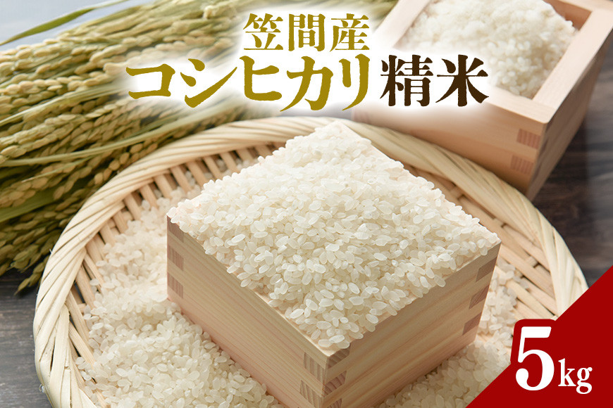 令和7年度 笠間産 コシヒカリ 5kg 精米 米 白米 新米 茨城県