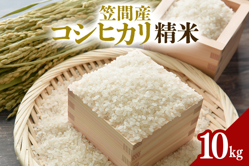 令和7年度 笠間産 コシヒカリ 10kg 精米 米 白米 茨城県