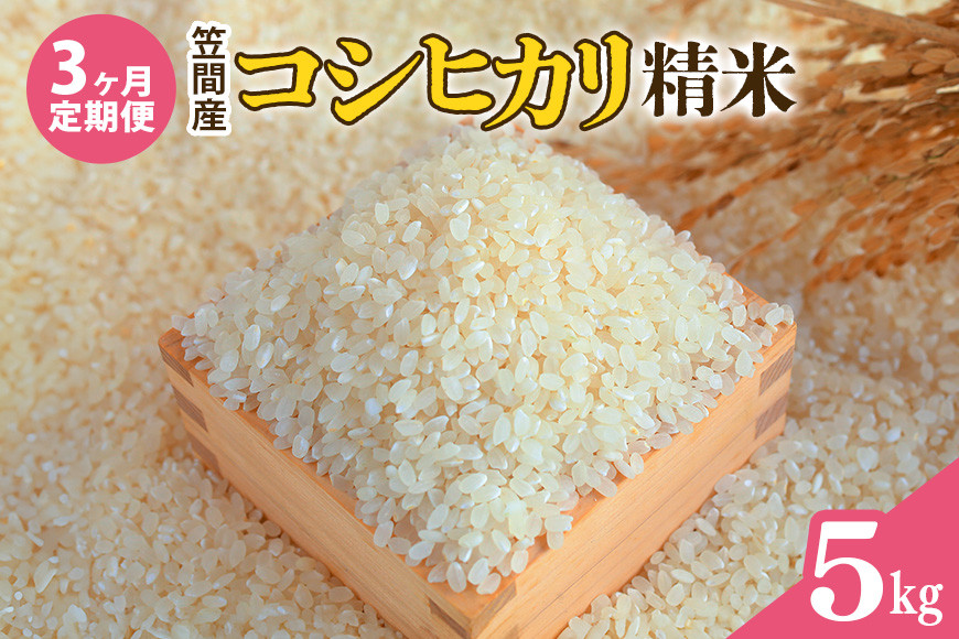 【3カ月定期便】 令和7年度 笠間産 コシヒカリ 5kg (5kg×3回 計15kg) 精米 お米 米 白米 ご飯 茨城県