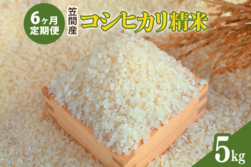 【6カ月定期便】 令和7年度 笠間産 コシヒカリ 5kg (5kg×6回 計30kg) 精米 お米 米 白米 ご飯 茨城県