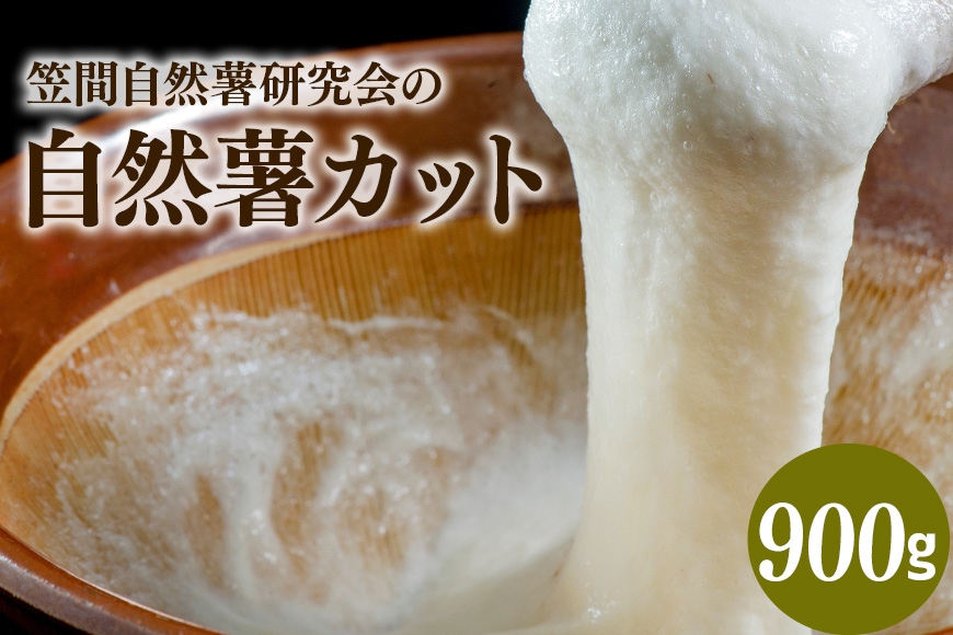 笠間自然薯研究会の自然薯カット 約900g 長芋 とろろ とろろご飯 野菜 ねばねば 健康食品 美容効果 笠間市産 茨木県産 栄養たっぷり ギフトに最適 新鮮 国内生産 高級根菜 美容と健康に 美味しい 有機栽培 オーガニック 産地直送 滋養強壮