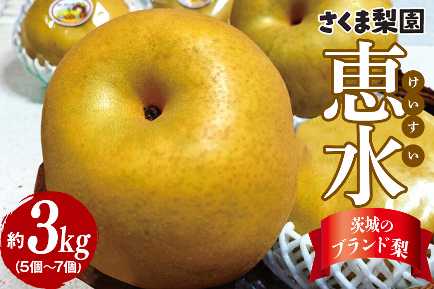 さくま梨園 恵水梨 梨 旬 果物 フルーツ ギフト 贈答用 茨城県 笠間市