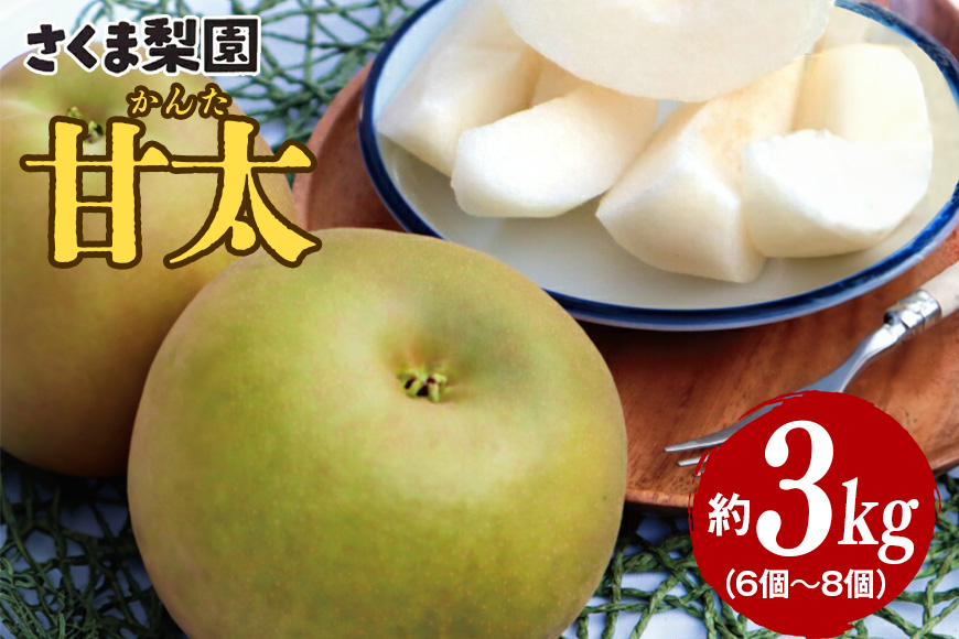 さくま梨園 甘太梨 梨 旬 フルーツ 果物 3kg ギフト 贈答用 ご自宅用 茨城県 笠間市
