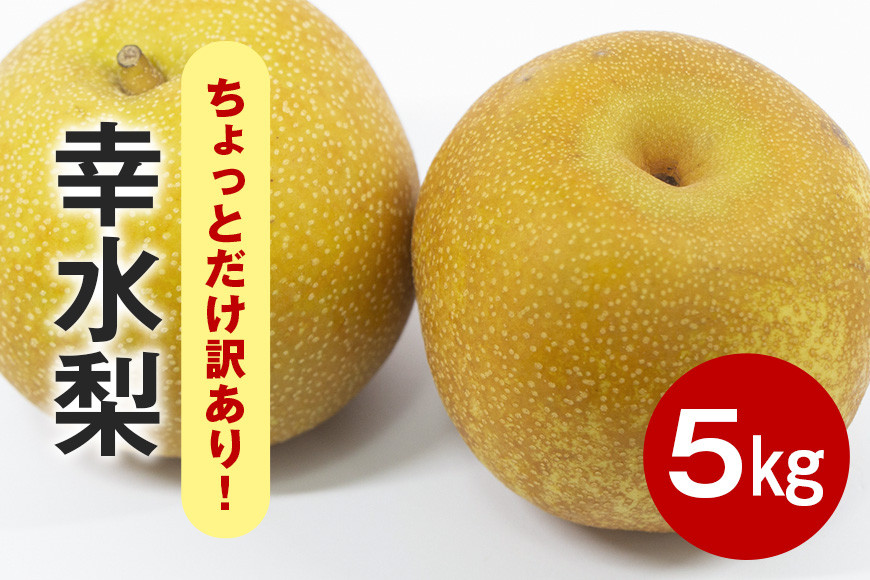 【先行販売/8月中旬から発送】 幸水 梨 ちょっとだけ訳あり 5kg箱 10～16個入 (アカツファーム)  ナシ なし 幸水梨 箱 訳あり 訳アリ 産地 茨城  笠間  完熟 甘い 秋 旬 果物 フルーツ 果汁 新鮮 デザート くだもの ジューシー 秋の味覚 旬の果物 産地直送 茨城県 笠間市