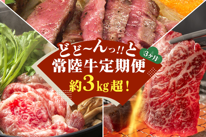 3ヵ月定期便 常陸牛どどーんっ！と定期便 総重量約３kg超え【茨城県共通返礼品】