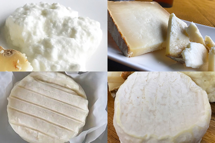 毎日ちょこっと しあわせチーズ　FROMAGERIEつくばのおすすめ4点セット
