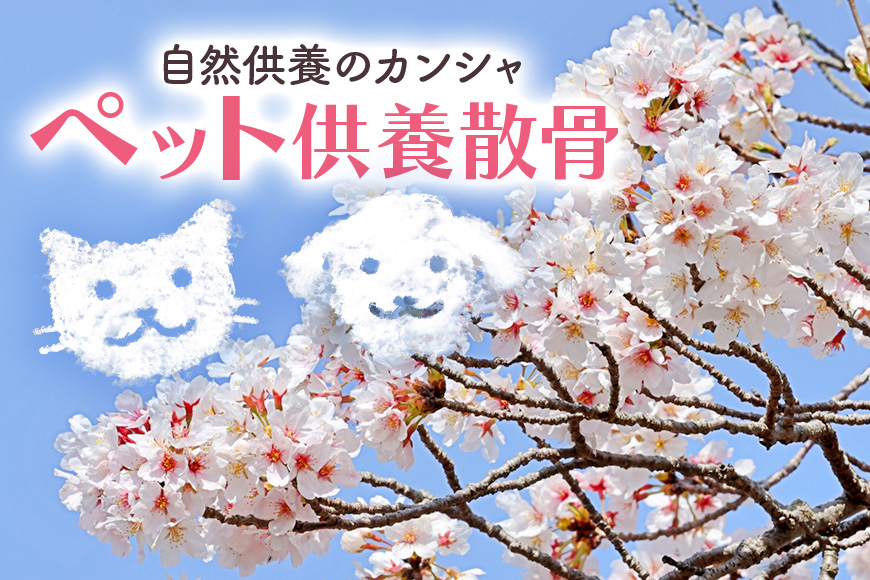 自然供養のカンシャ ペット供養散骨