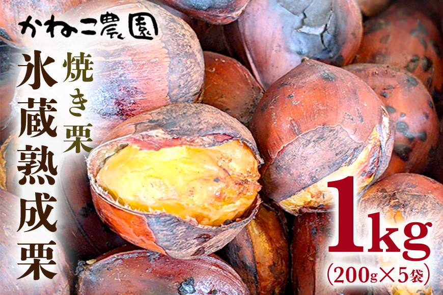 【数量限定・期間限定】笠間の栗・かねこ農園の焼き栗 200g×5袋 栗 クリ くり 焼栗 茨城県 笠間市 ＜12月31日まで受付＞