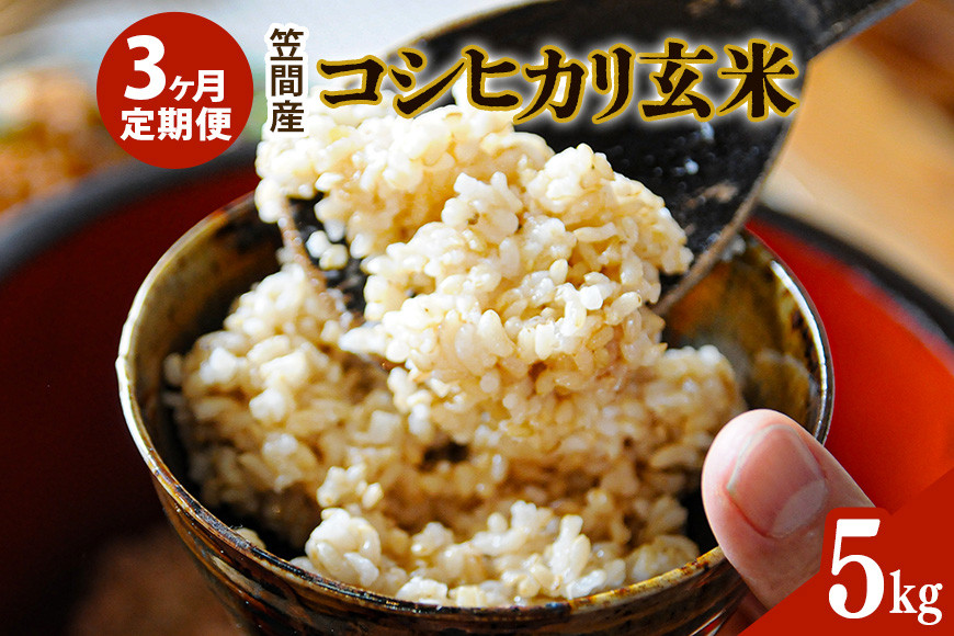 [3カ月定期便] 令和7年度 笠間産 コシヒカリ 5kg (5kg×3回 計15kg) 玄米 定期便 米 げんまい こめ コメ ご飯 ごはん 農家直送 産地直送 国産 茨城県 笠間市 青木商店 [6月末まで受付]