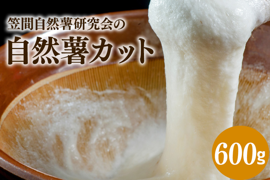 笠間自然薯研究会の自然薯カット 約600g 長芋 とろろ とろろご飯 野菜 ねばねば 健康食品 美容効果 笠間市産 茨木県産 栄養たっぷり ギフトに最適 新鮮 国内生産 高級根菜 美容と健康に 美味しい 有機栽培 オーガニック 産地直送 滋養強壮