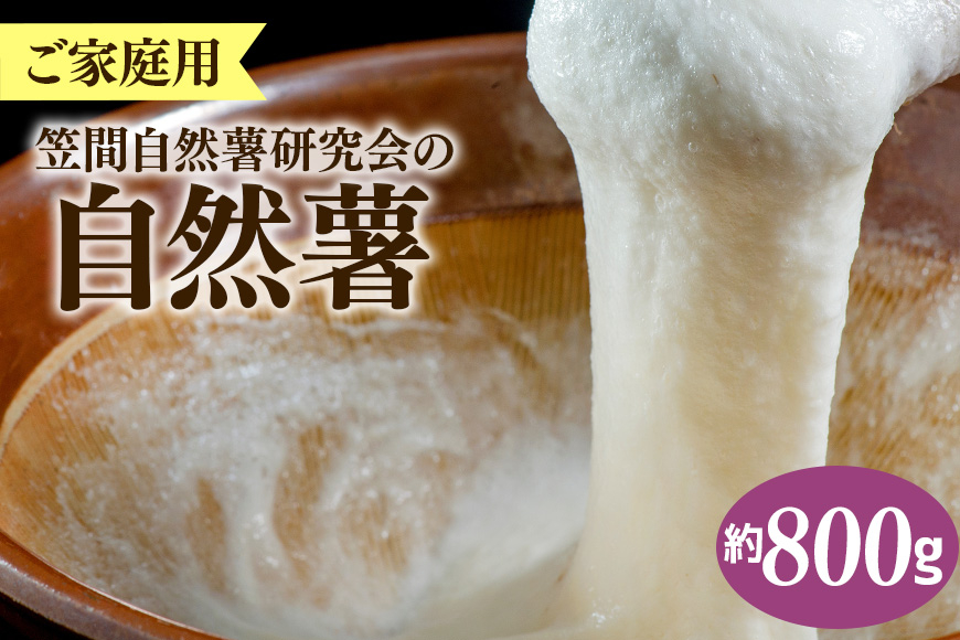 笠間自然薯研究会の自然薯 ご家庭用 約800g長芋 とろろ とろろご飯 野菜 ねばねば 健康食品 美容効果 笠間市産 茨木県産 栄養たっぷり ギフトに最適 新鮮 国内生産 高級根菜 美容と健康に 美味しい 有機栽培 オーガニック 産地直送 滋養強壮