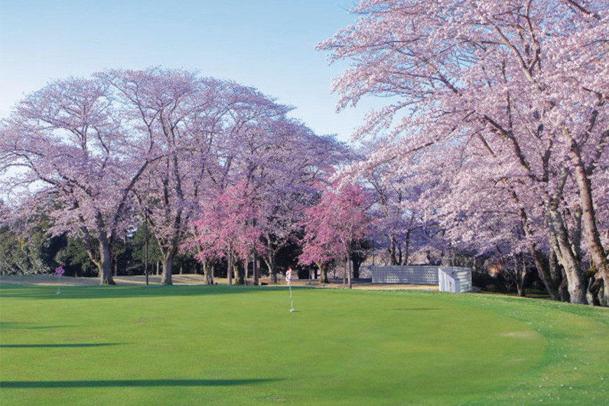 桜の宮ゴルフ?楽部 ゴルフプレ−補助券 3000円分