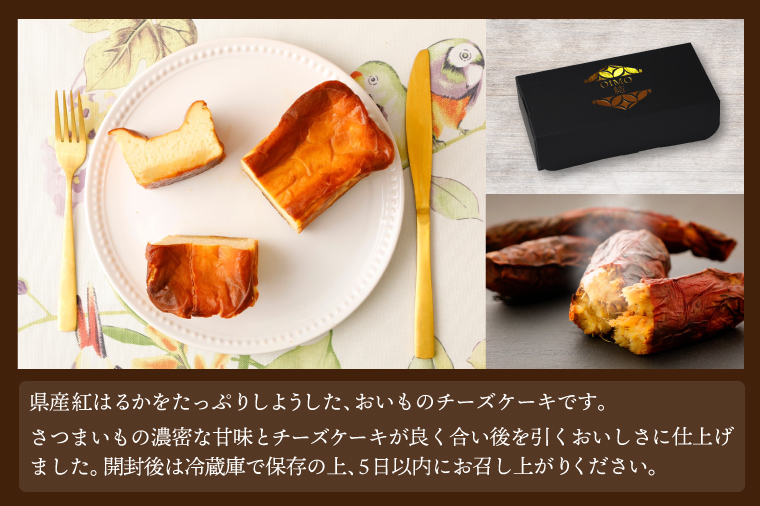 バスクチーズケーキパウンド型食べ比べセット【プレーン　猿島産抹茶　猿島産ほうじ茶】ケーキ　スイーツ　プレゼント（AN013）