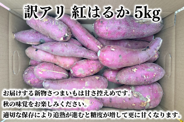 【2026年2月下旬より順次発送】【数量限定】訳アリ 茨城県産紅はるか 約5kg｜さつまいも 芋 サツマイモ 紅はるか 訳あり わけあり 先行予約 茨城県 取手市（AS003-1）