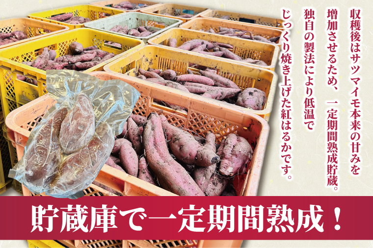 【2026年2月より順次発送】冷凍焼き芋 約1kg（紅はるか）｜焼き芋 やきいも 焼きいも さつまいも 紅はるか サツマイモ 先行予約 予約 茨城県 取手市（AS008）