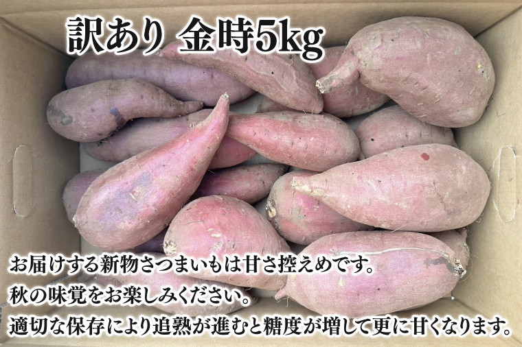 【先行予約】【10月中旬以降より順次発送】訳アリ 茨城県産金時 約5kg｜さつまいも 芋 サツマイモ 金時 訳あり わけあり 茨城県 取手市（AS010-1）