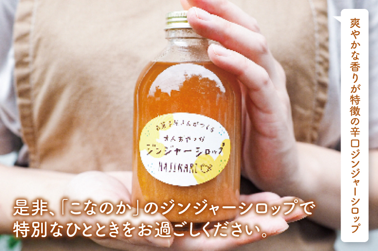 お菓子屋さんが作る大人おやつなジンジャーシロップ（BG001）