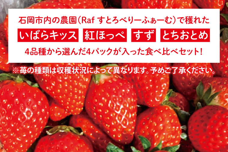 【先行予約】完熟苺 食べ比べセット 4パック【茨城県共通返礼品：石岡市】│ 完熟 いちご イチゴ いばらキッス 紅ほっぺ すず とちおとめ（BH001）
