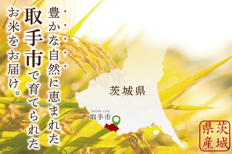 【数量限定】R7年産 コシヒカリ 白米10kg|お米 米 こしひかり コシヒカリ 白米 茨城県 取手市（BQ001）